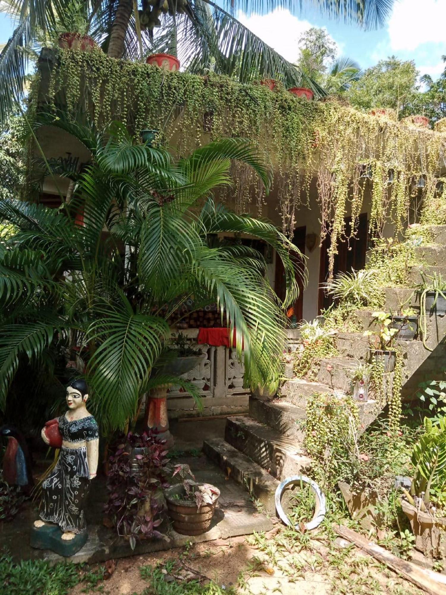 Nelum Home Stay Sigiriya Dış mekan fotoğraf